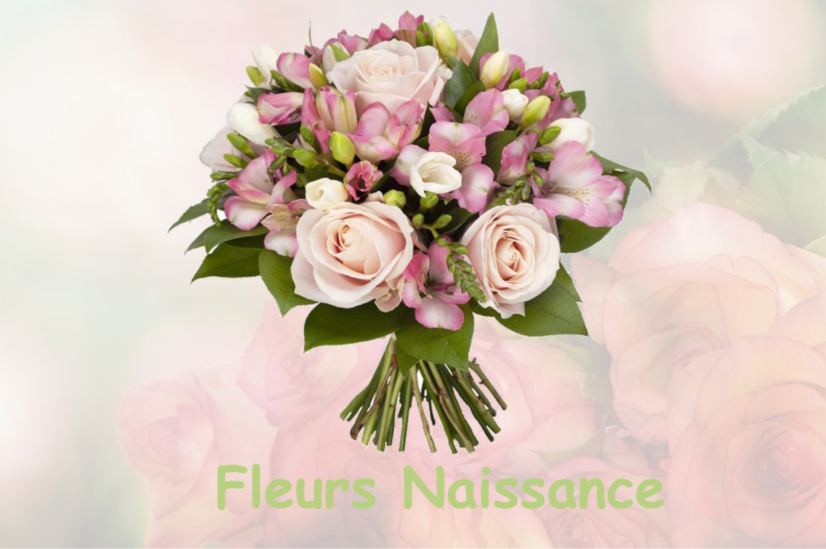 fleurs naissance MUZERAY