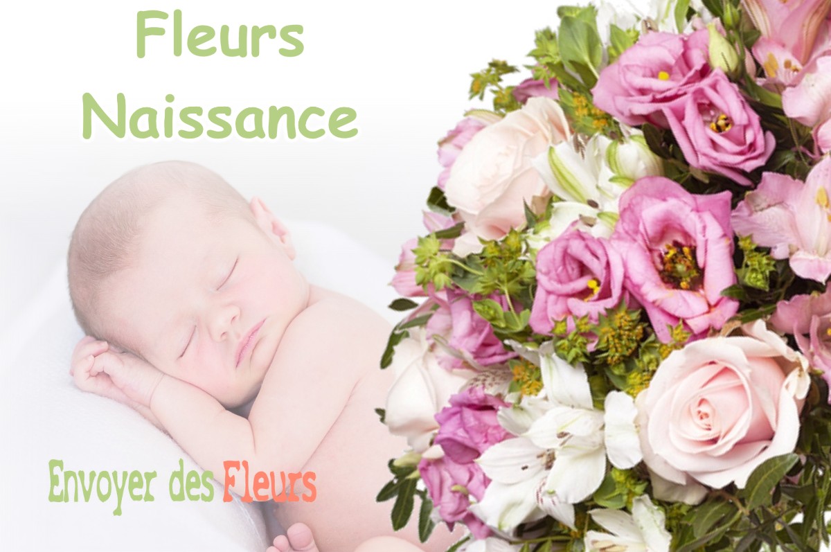 lIVRAISON FLEURS NAISSANCE à MUZERAY